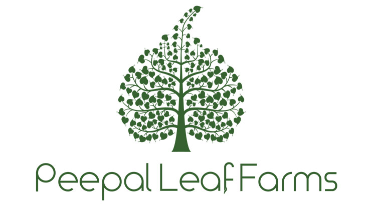 peepal leaf orchards